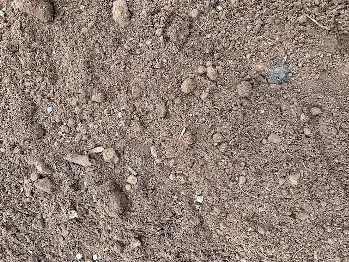 PEAT MOSS