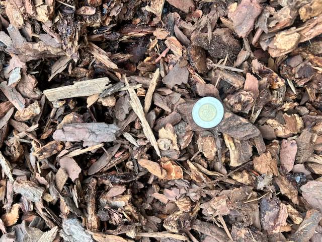 SMALL BARK
