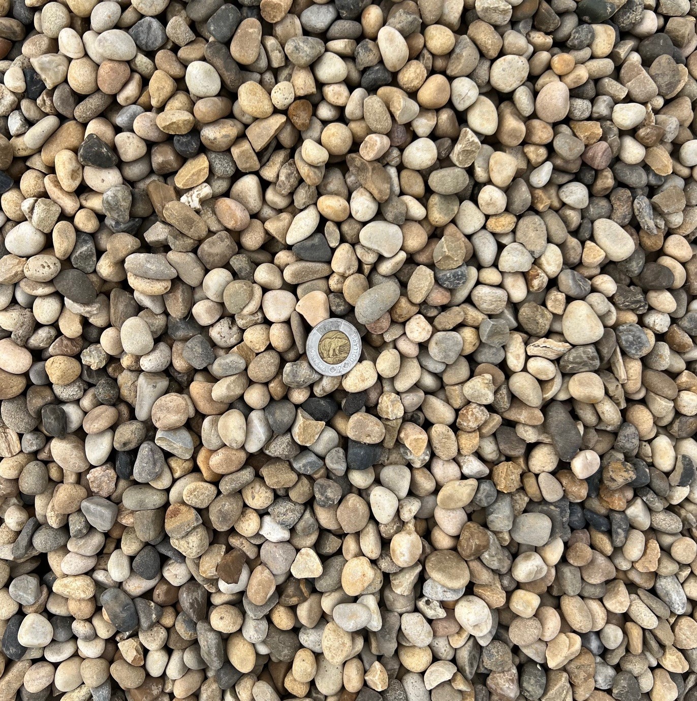 PEA GRAVEL