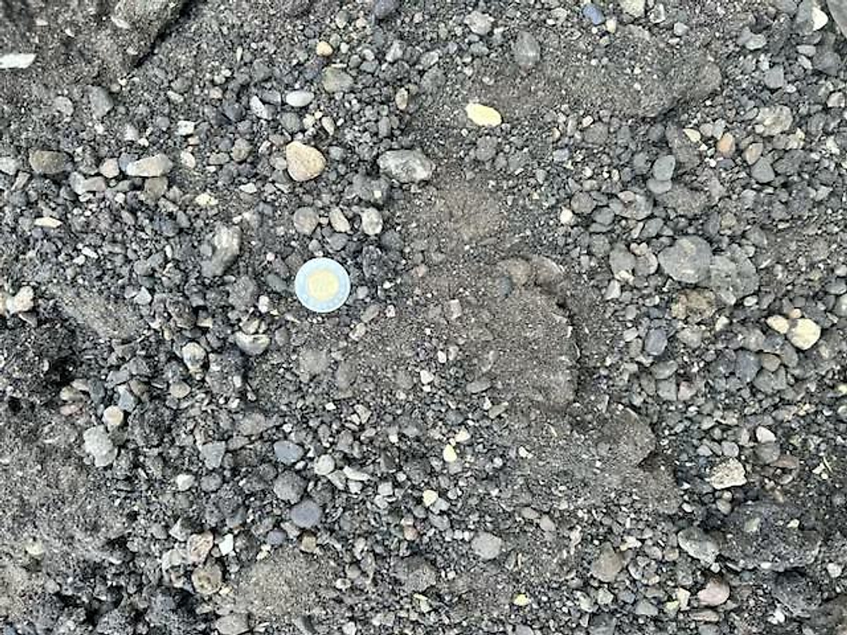 Sand & Gravel