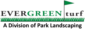 Evergreen Turf